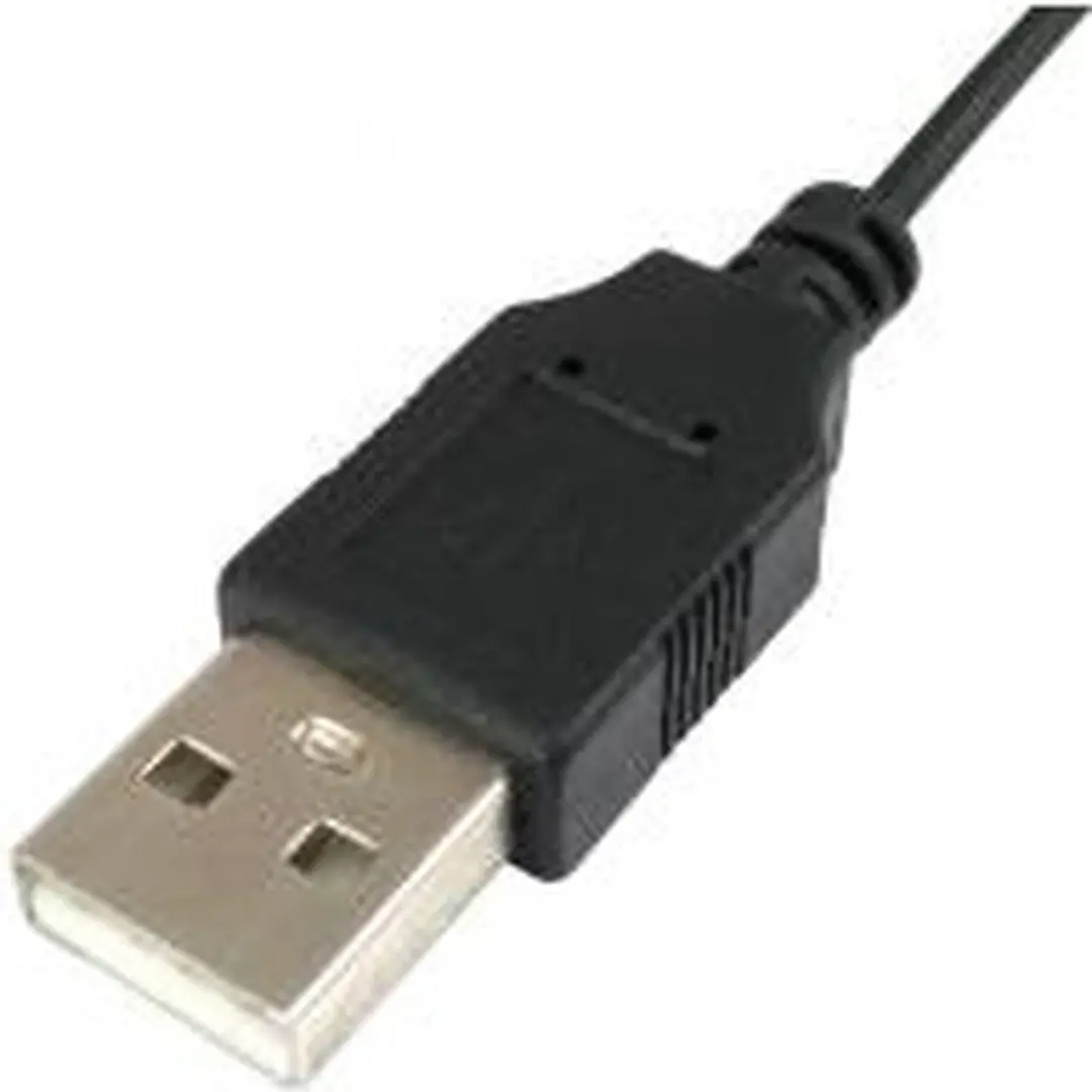 Equip 245107 Ambidextrous USB Muis - 1000 DPI - Zwart - afbeelding 5 van 5