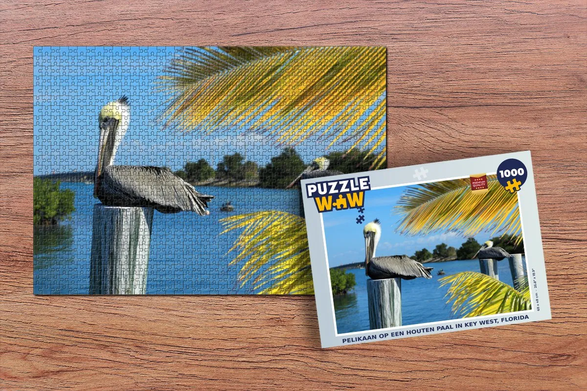 PuzzleWow Legpuzzel Pelikaan Key West 1000 Stuks - Multicolor
