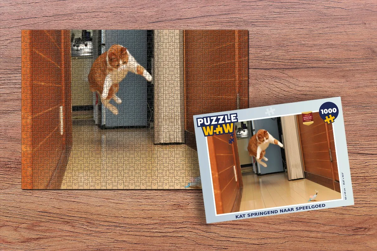 PuzzleWow Kat Spring Legpuzzel 1000 Stuks - Multicolor