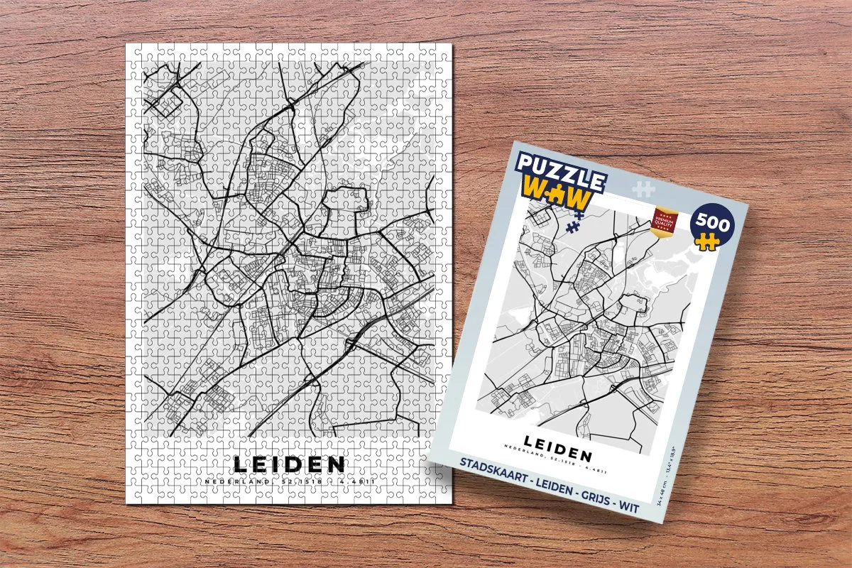 PuzzleWow Leiden Legpuzzel 500 Stuks - Multicolor