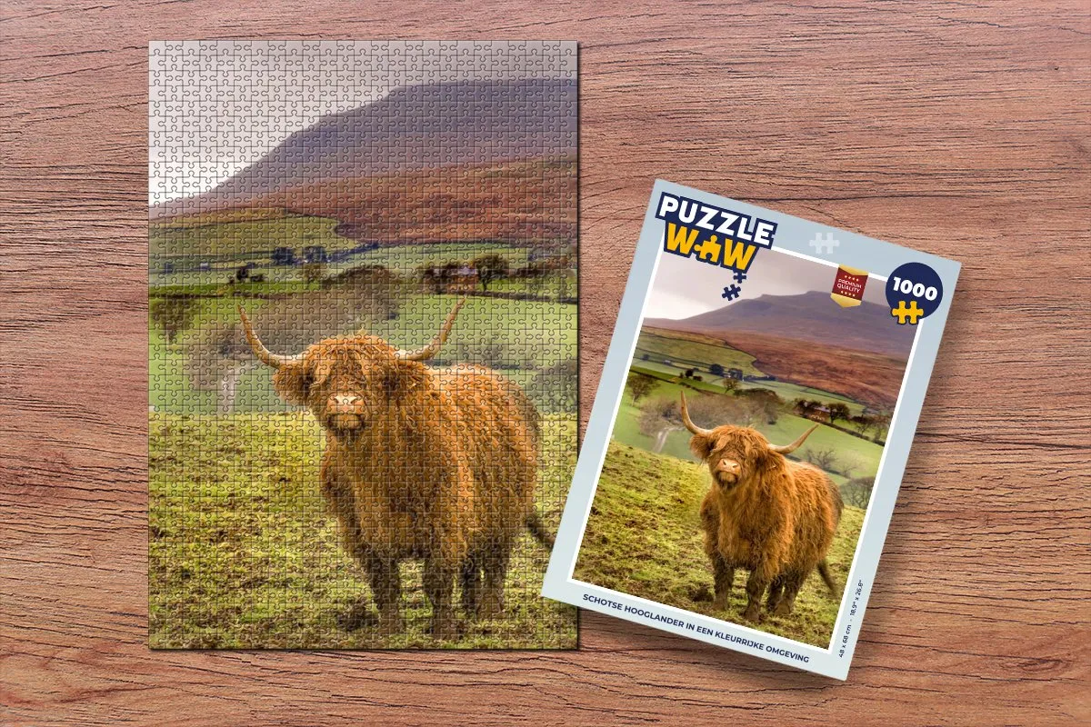PuzzleWow Schotse Hooglander Legpuzzel 1000 Stuks - Multicolor