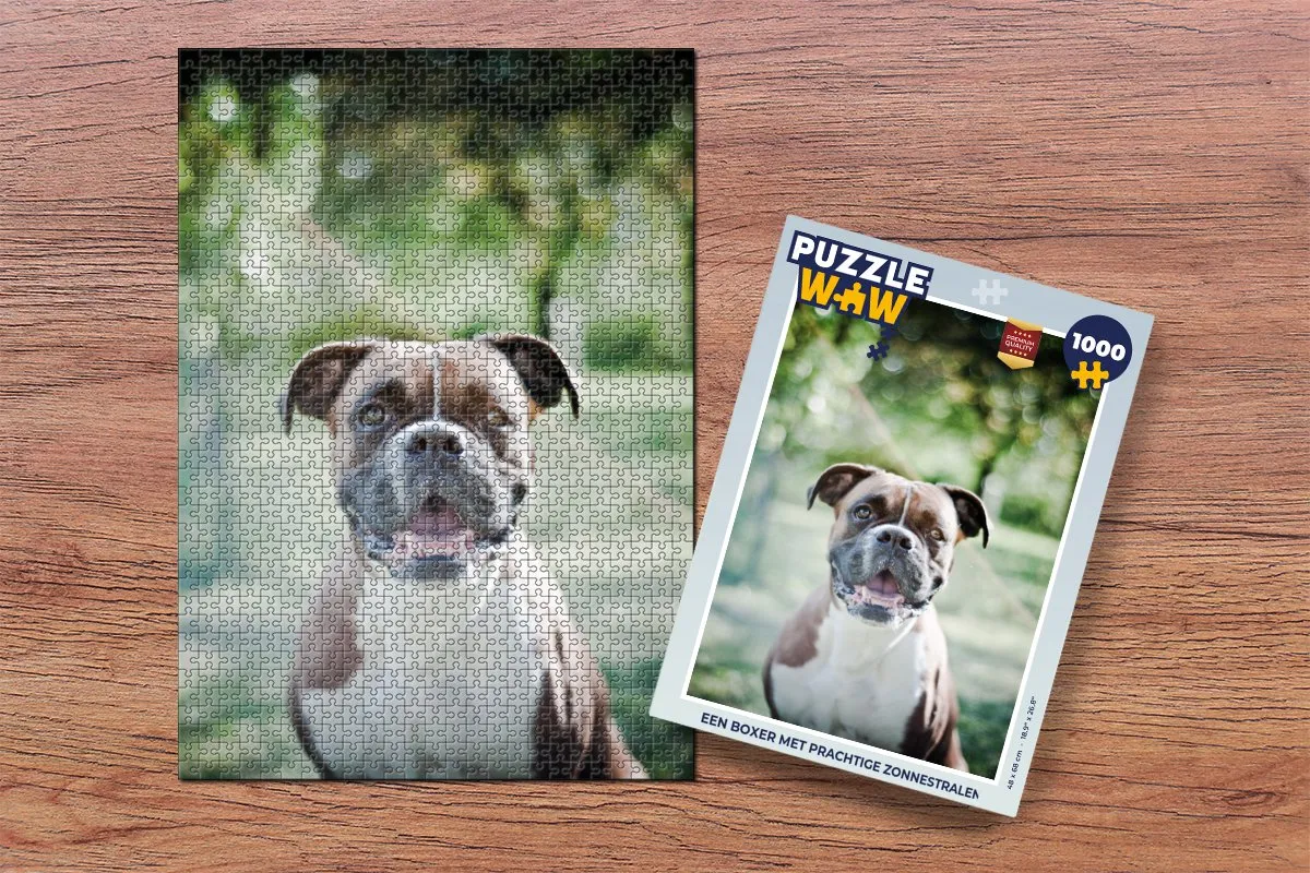 PuzzleWow Legpuzzel Boxer met Zonnestralen 1000 Stuks - Multicolor