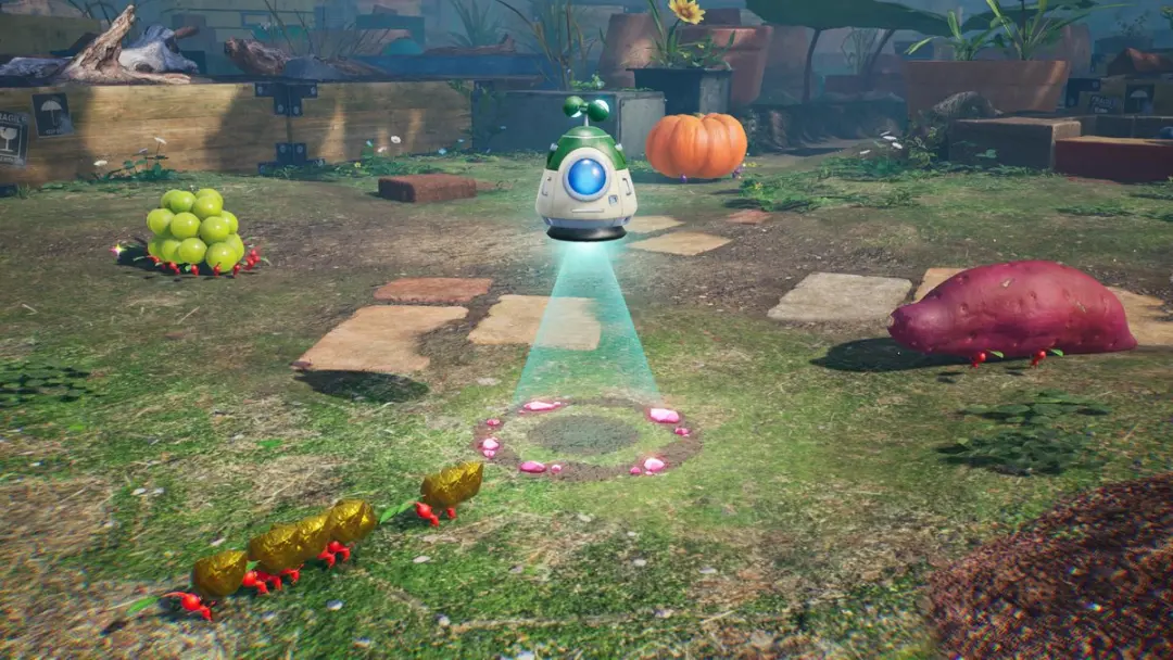 Nintendo Pikmin 4 Switch 2 Edition + Dandori Academie - afbeelding 4 van 6