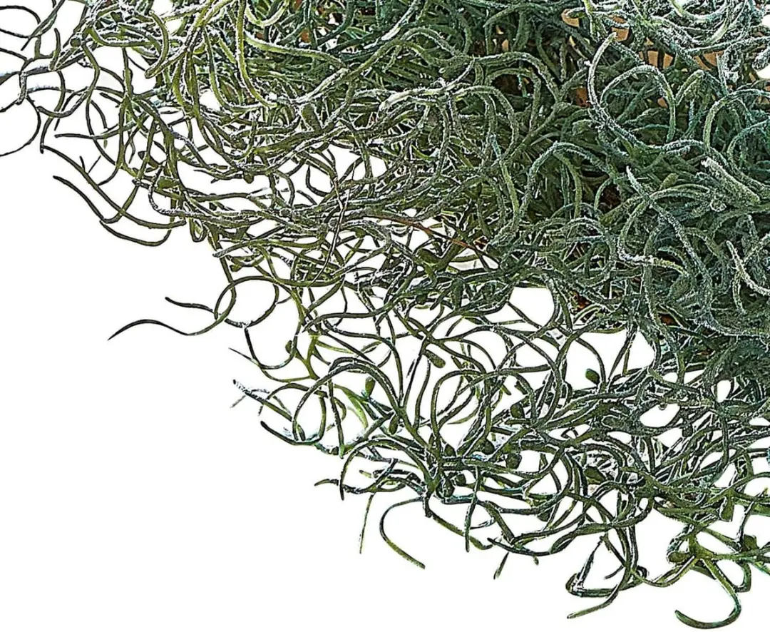 Loberon Krans Yuliven Groen - Ø45cm - afbeelding 2 van 5