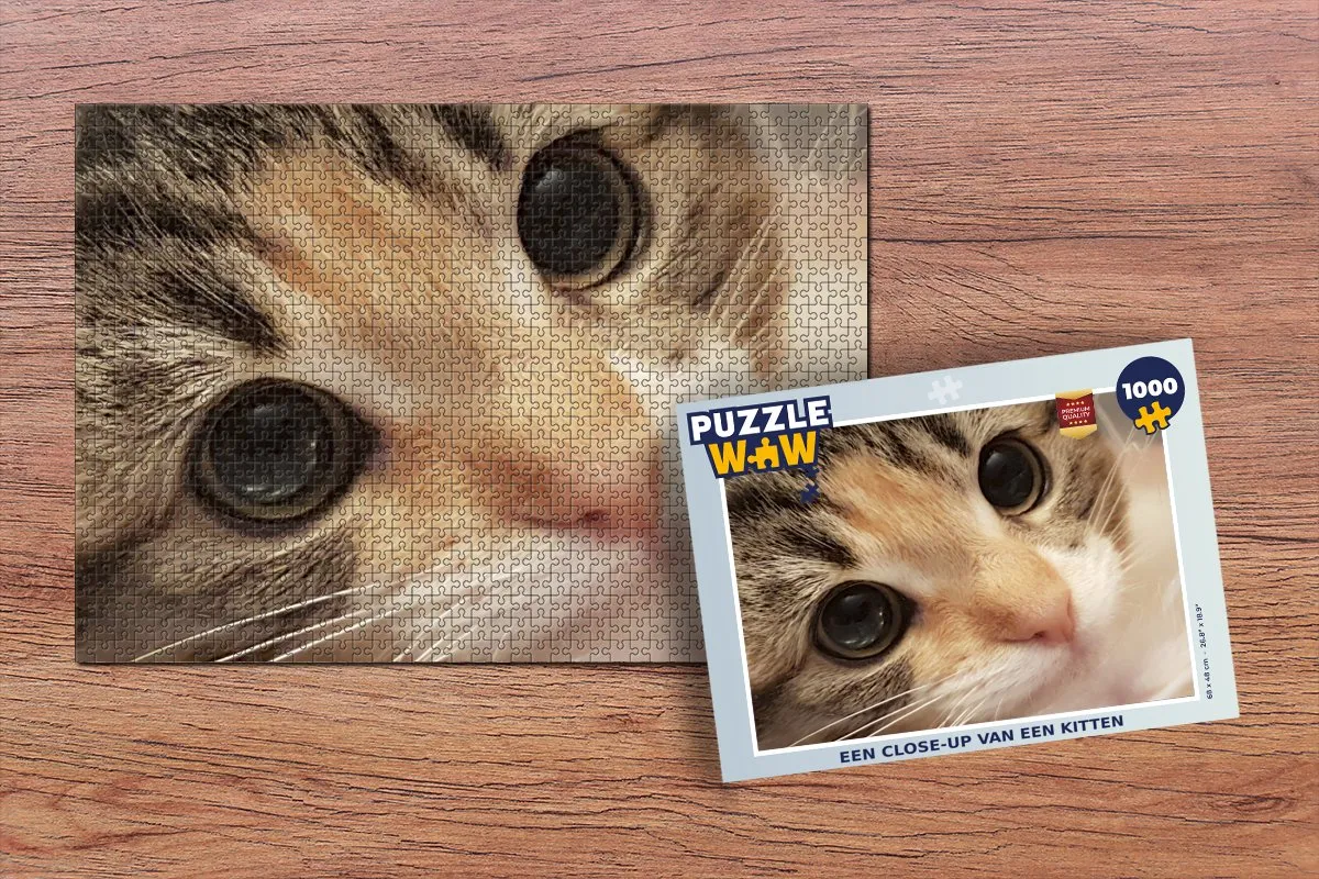 PuzzleWow Legpuzzel Kitten 1000 Stuks