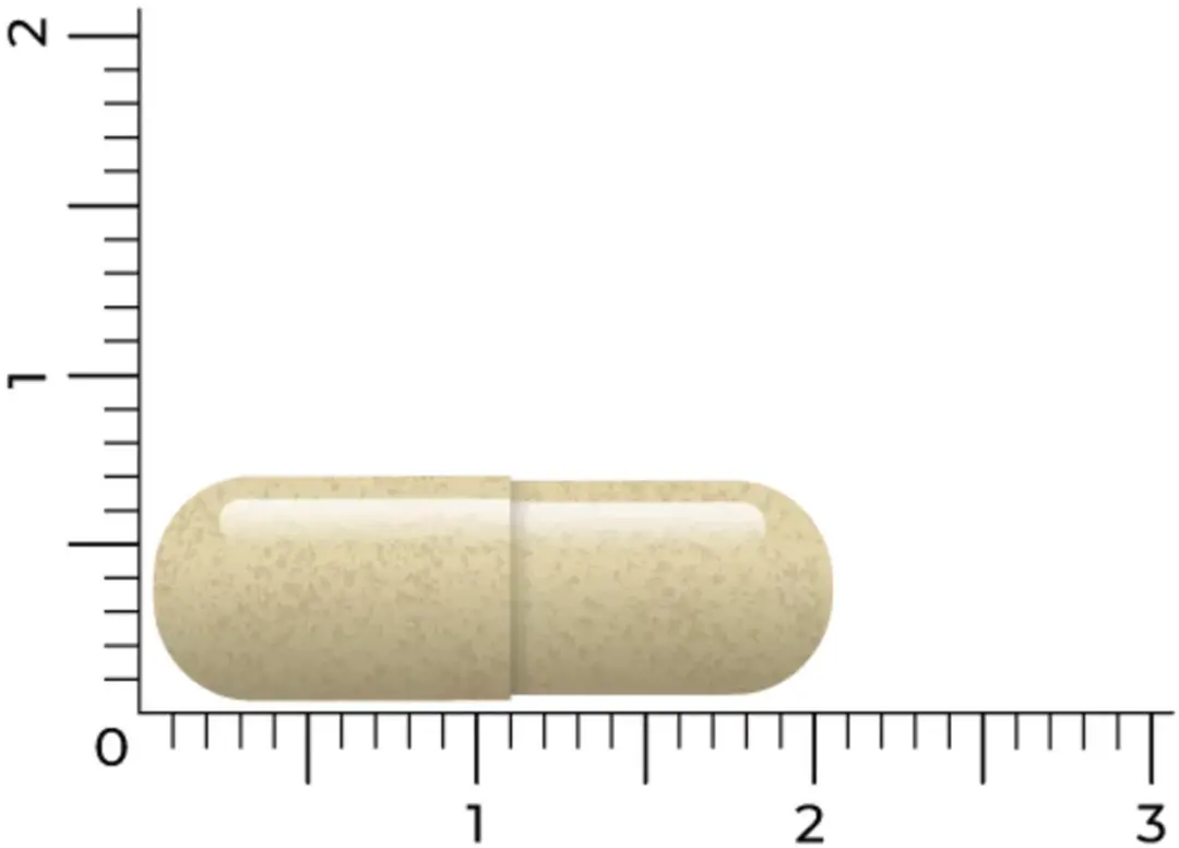 Vitakruid Multi Nacht Mama 90 Capsules