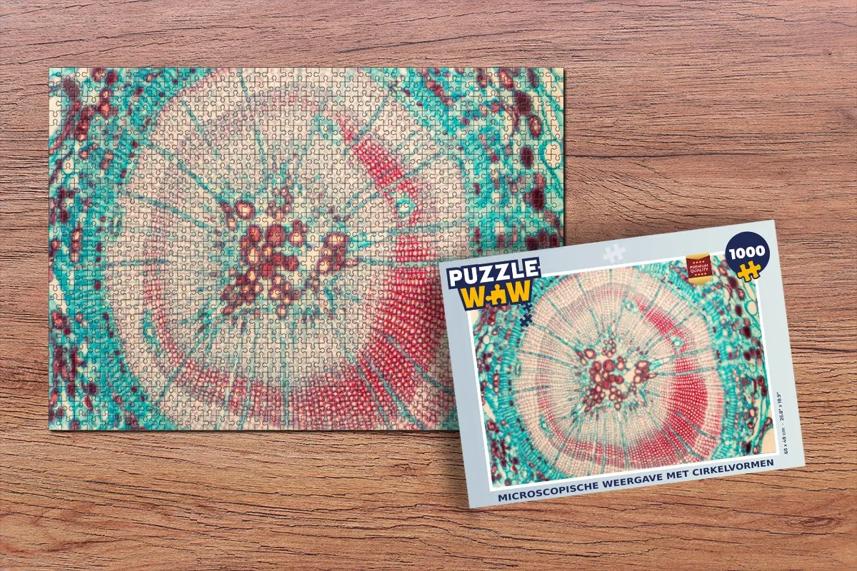 PuzzleWow Legpuzzel 1000 Stuks - Multicolor