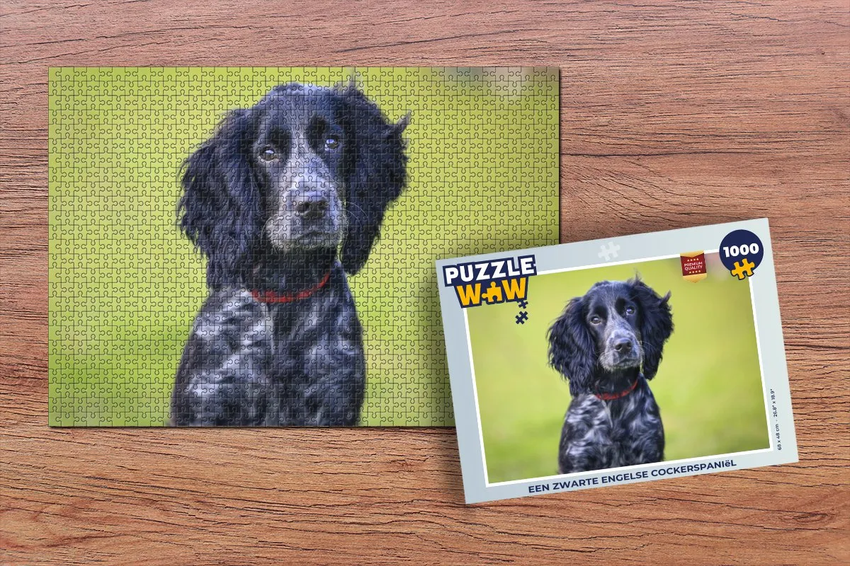 PuzzleWow Engelse Cocker Spaniel Legpuzzel 1000 Stuks - Multicolor