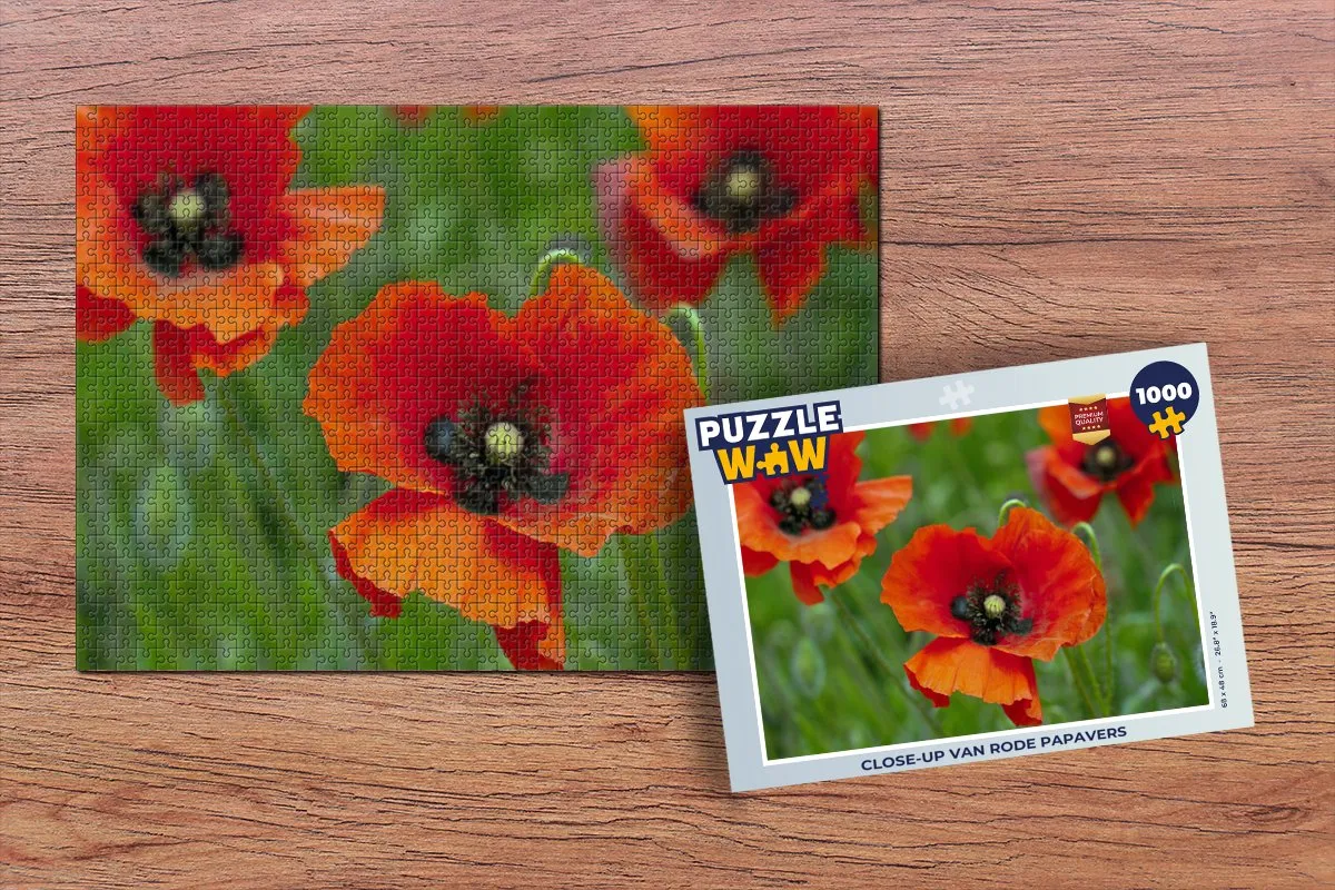 PuzzleWow Legpuzzel 1000 Stuks - Multicolor
