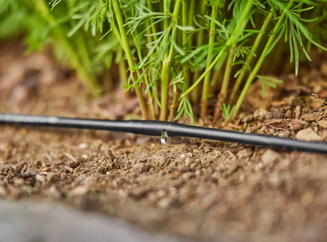 Gardena Micro-Drip-Systeem Druppelbuis 15m - 20 Planten - afbeelding 6 van 6