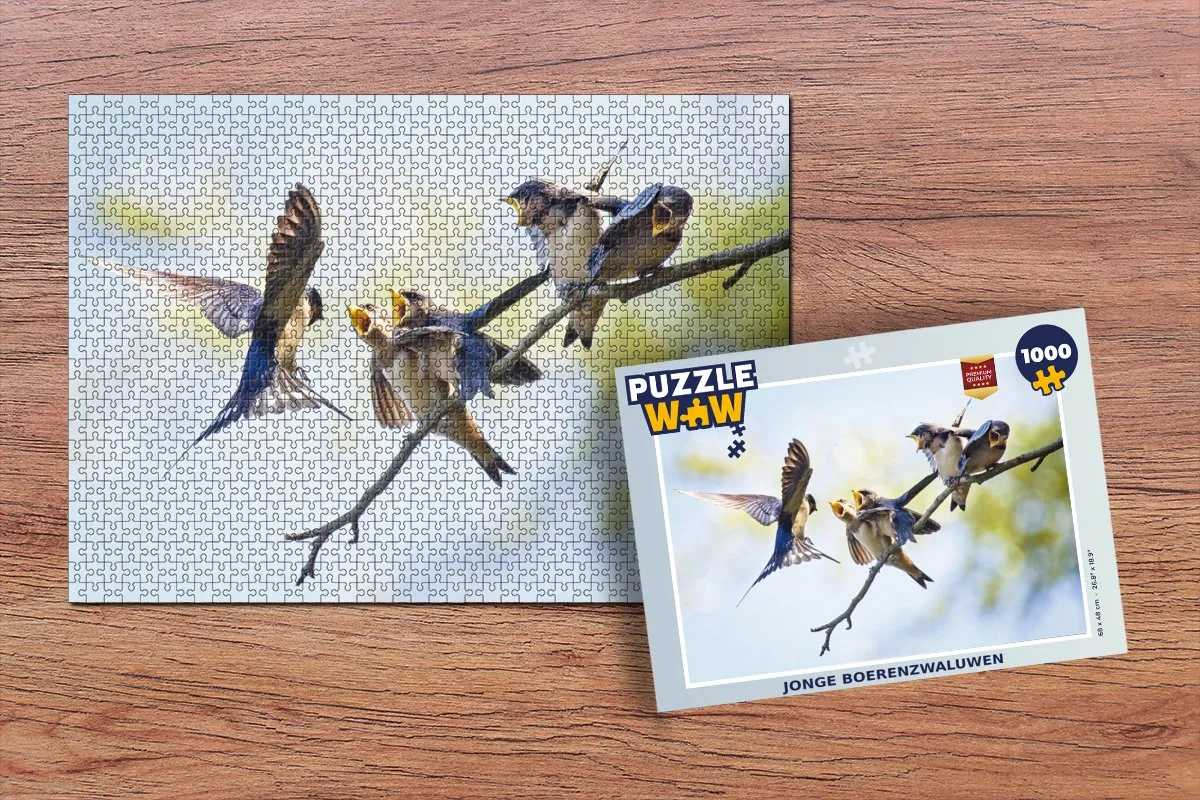 PuzzleWow Jonge Boerenzwaluwen Legpuzzel 1000 Stuks - Multicolor