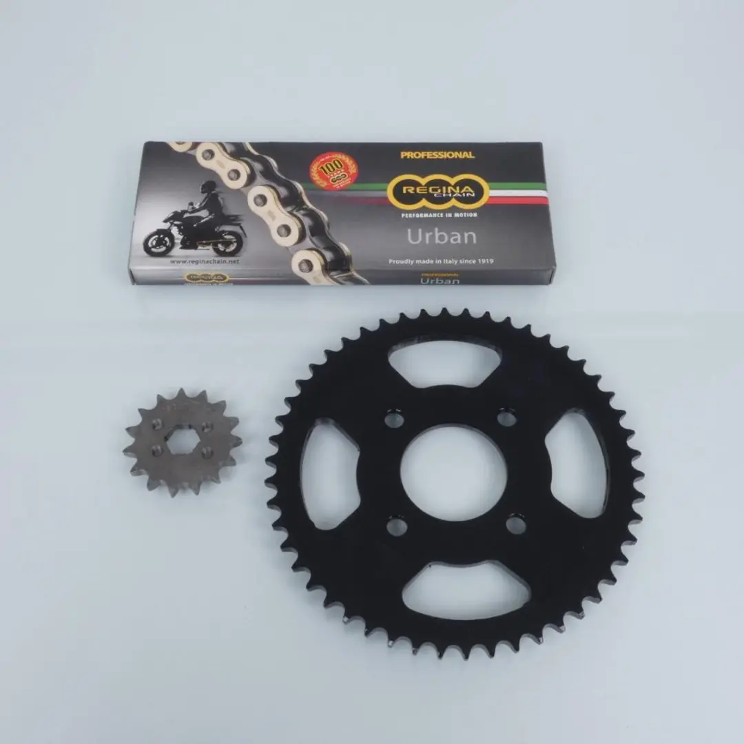 Kit chaîne Regina pour moto Honda 125 NX Transcity 1989 à 1997 15x50 P428 Neuf