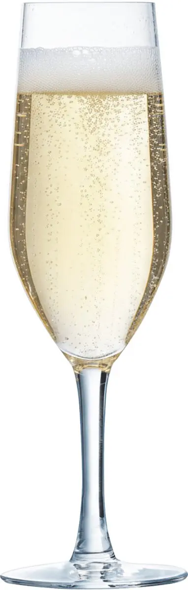 Chef & Sommelier Evidence Champagneflutes 160ml - Set van 6