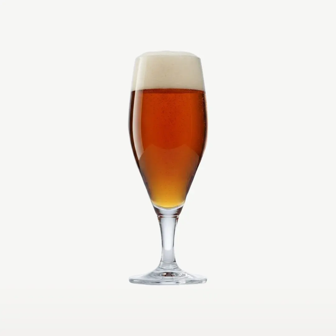 Stölzle Lausitz Iserlohn Bierglazen 40cl - Set van 6