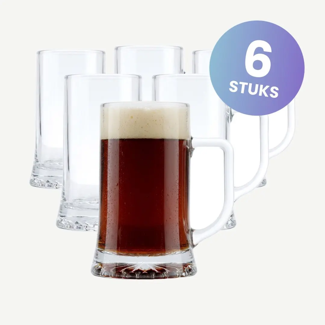 Onis Maxim Bierpullen 50cl - Set van 6 - Transparant