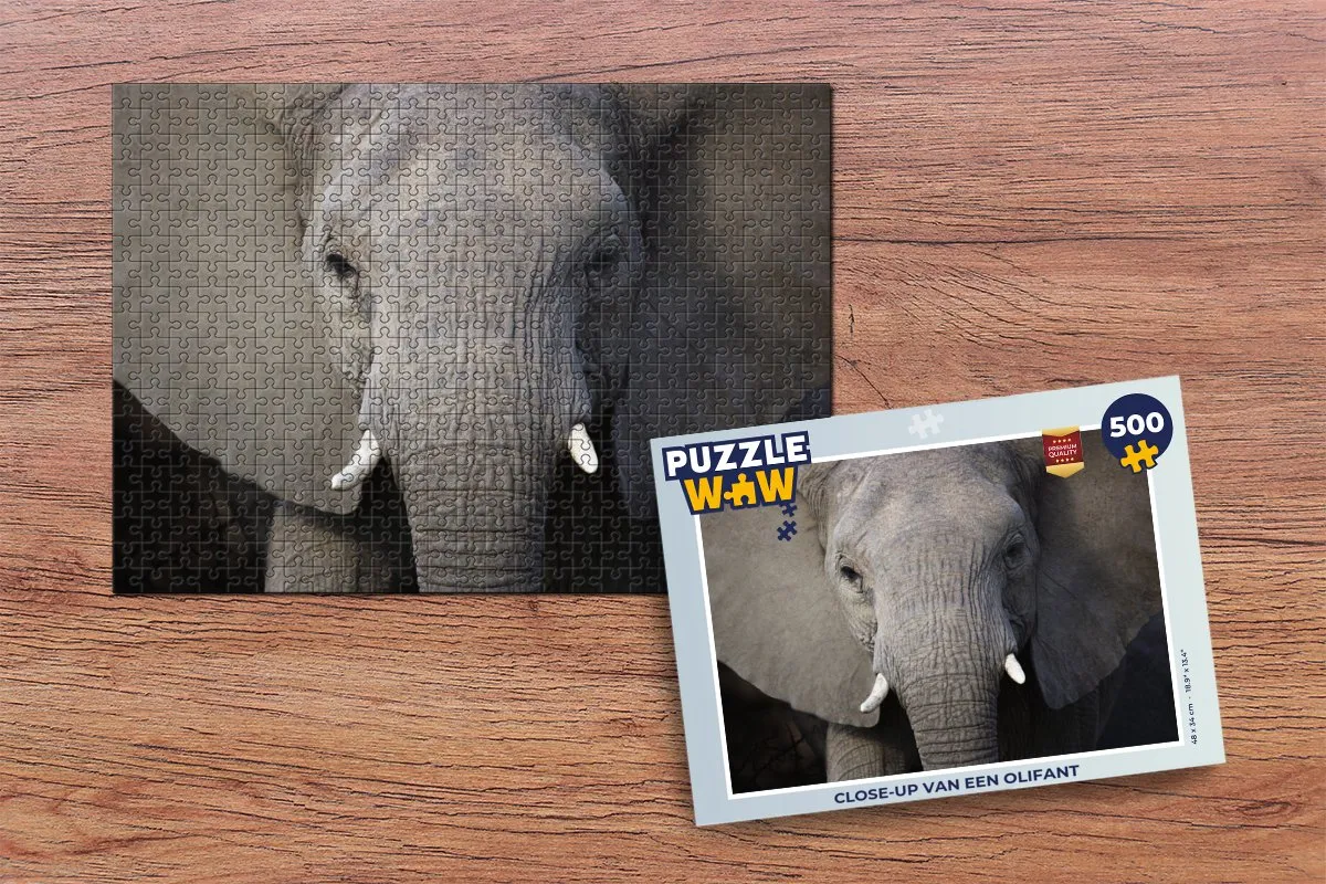 PuzzleWow Olifant Legpuzzel 500 Stuks - Multicolor
