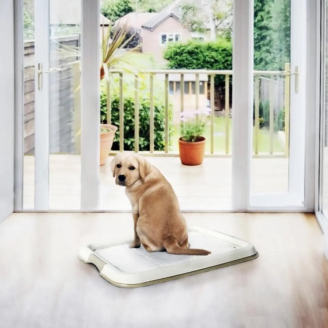 Duvo Dierentoilet P-pad Medium M - 7 Stuks