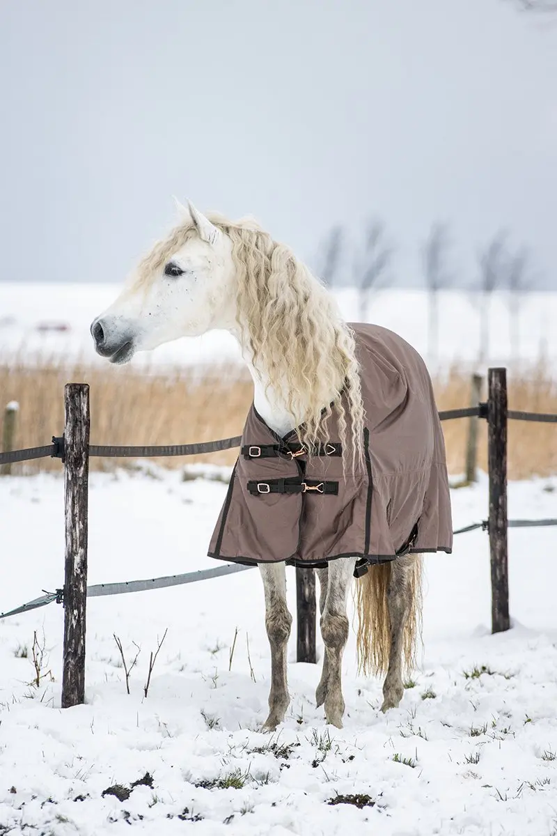 Horsegear HGExtreme 0gr Deken - 135cm Bruin - afbeelding 5 van 6