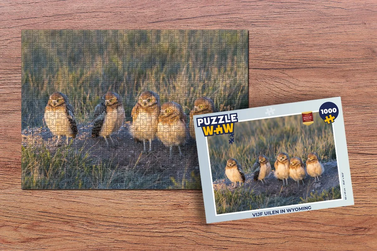 PuzzleWow Wyoming Legpuzzel 1000 Stuks - Multicolor