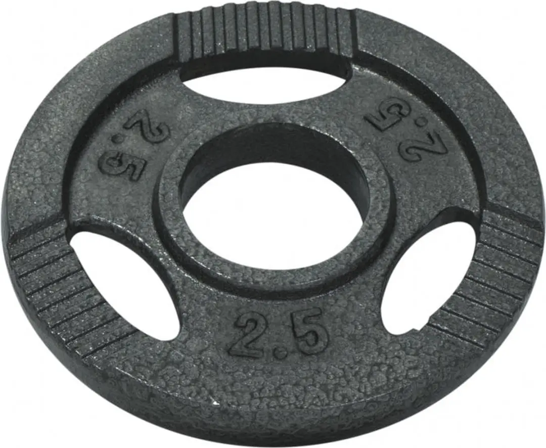 Gorilla Sports Halterschijf 2.5 kg Gietijzer Grijs