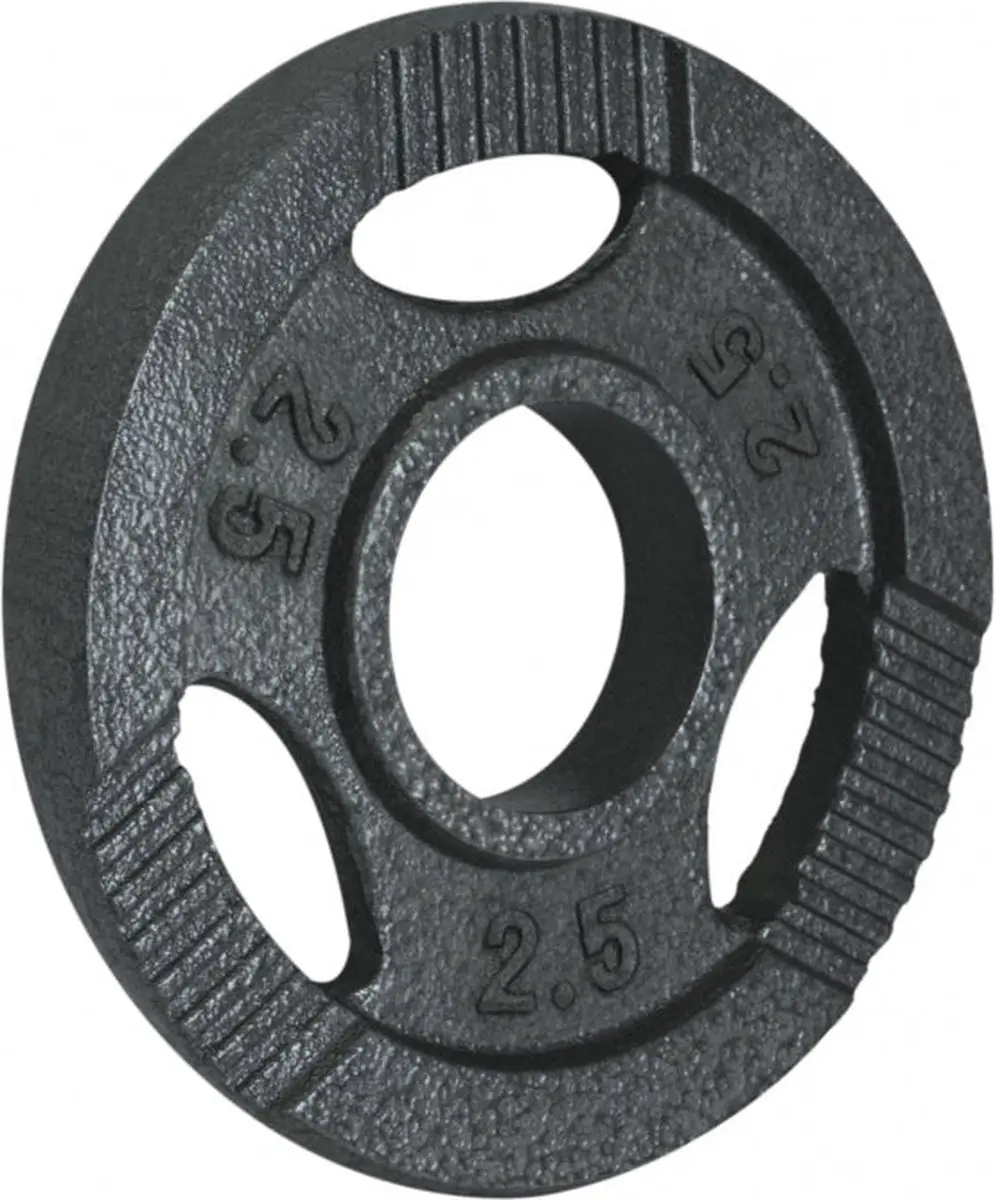 Gorilla Sports Halterschijf 2.5 kg Gietijzer Grijs
