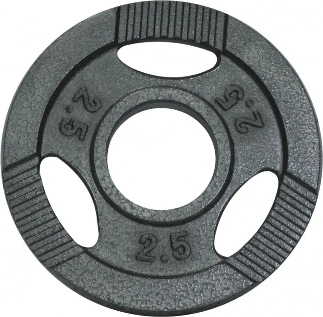 Gorilla Sports Halterschijf 2.5 kg Gietijzer Grijs