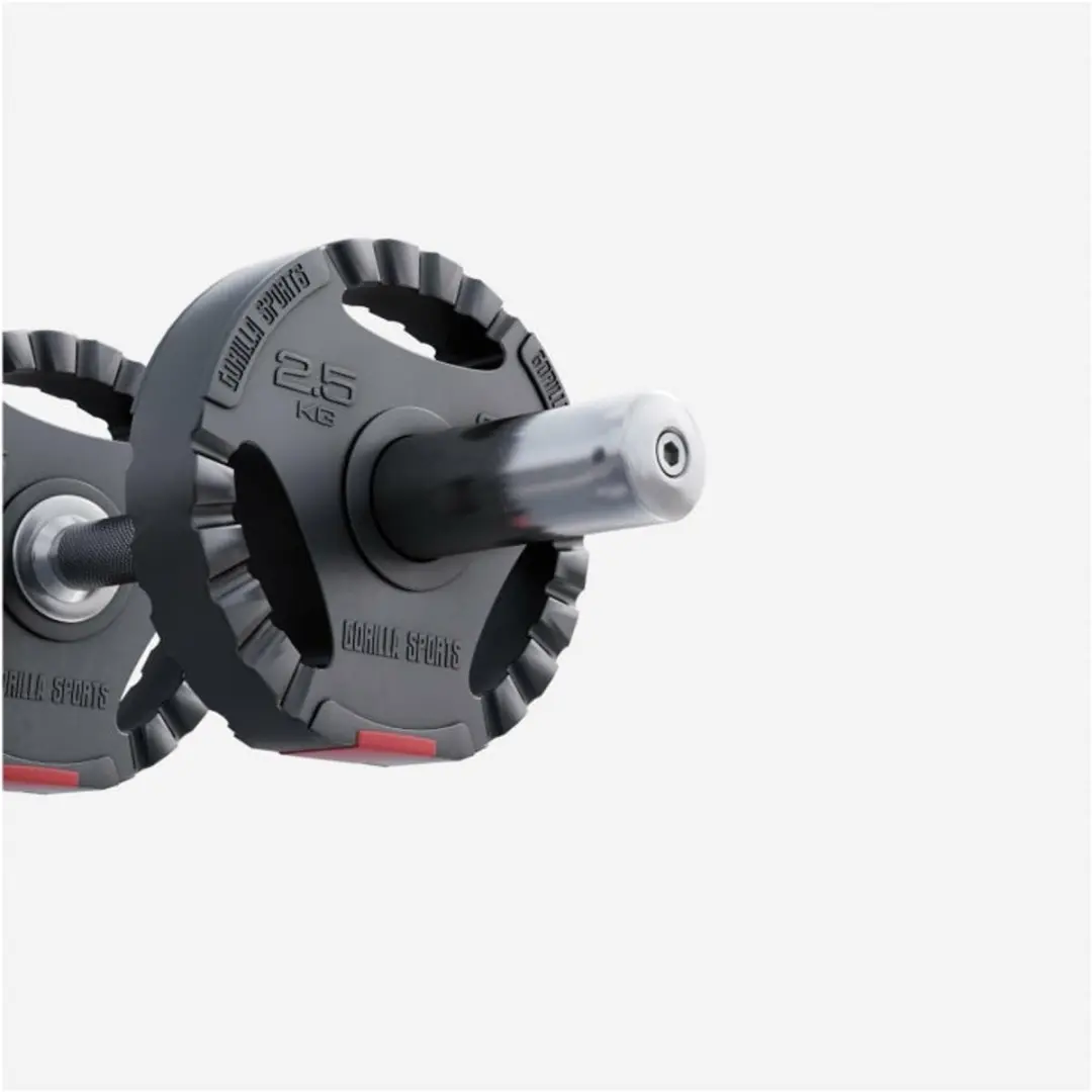 Gorilla Sports Gewichtsschijf Olympisch 2,5 kg - 50mm - Zwart