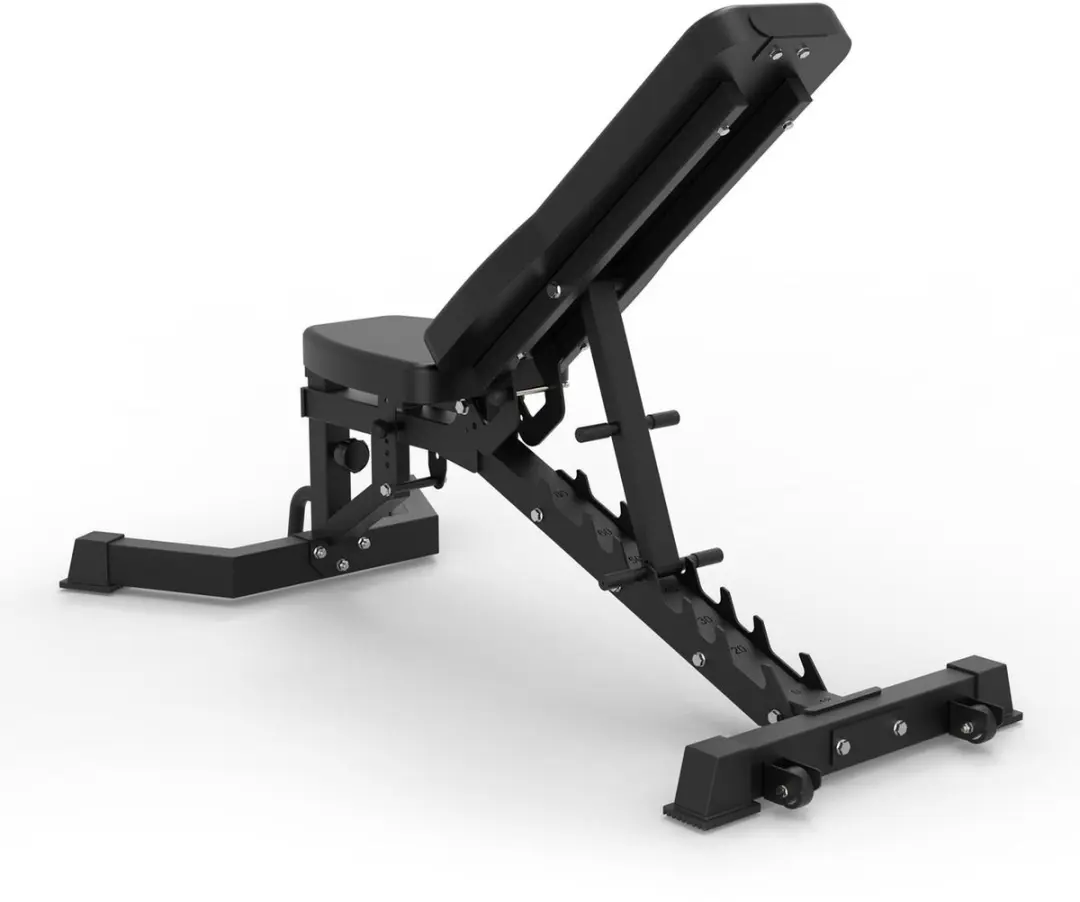 Gorilla Sports Verstelbare Halterbank 1300kg - Zwart