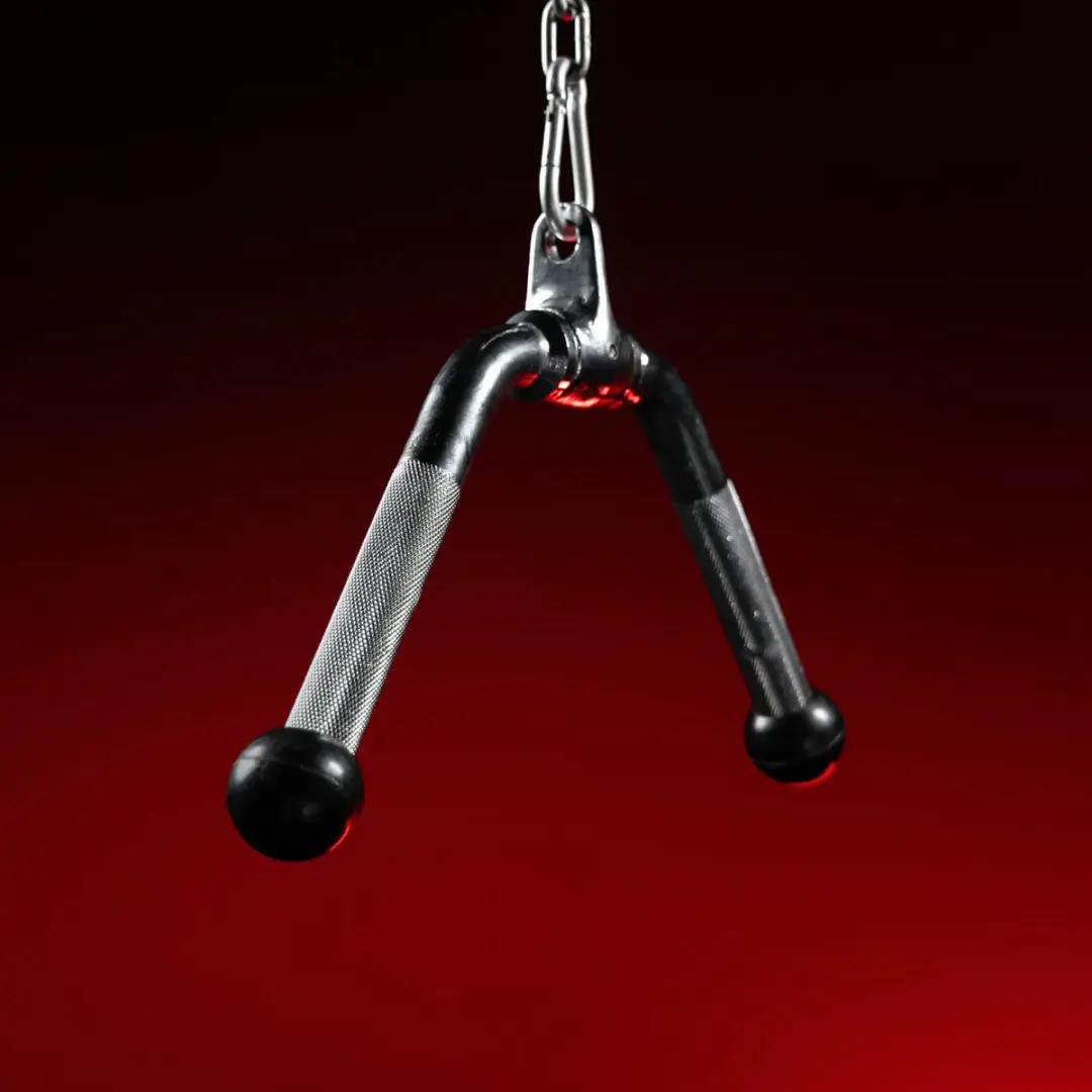 Gorilla Sports Tricepsgreep V-vorm - Chroom