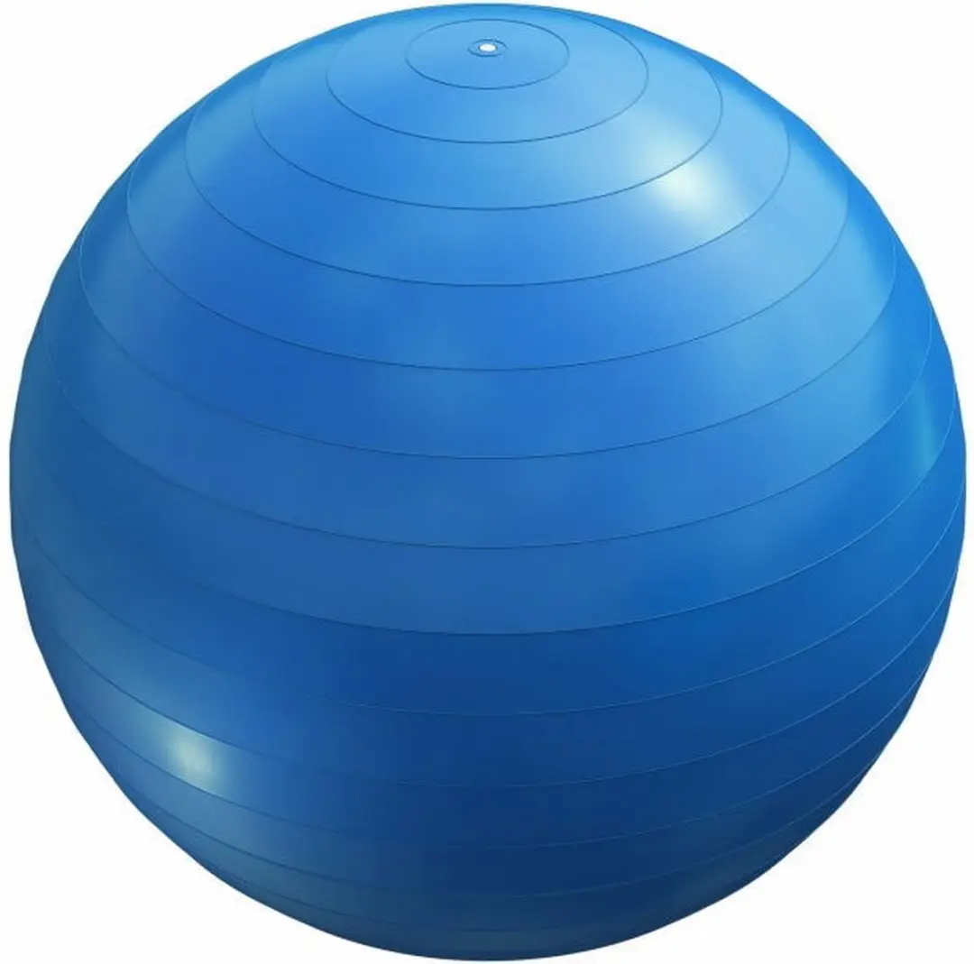 Gorilla Sports Fitnessbal 65cm