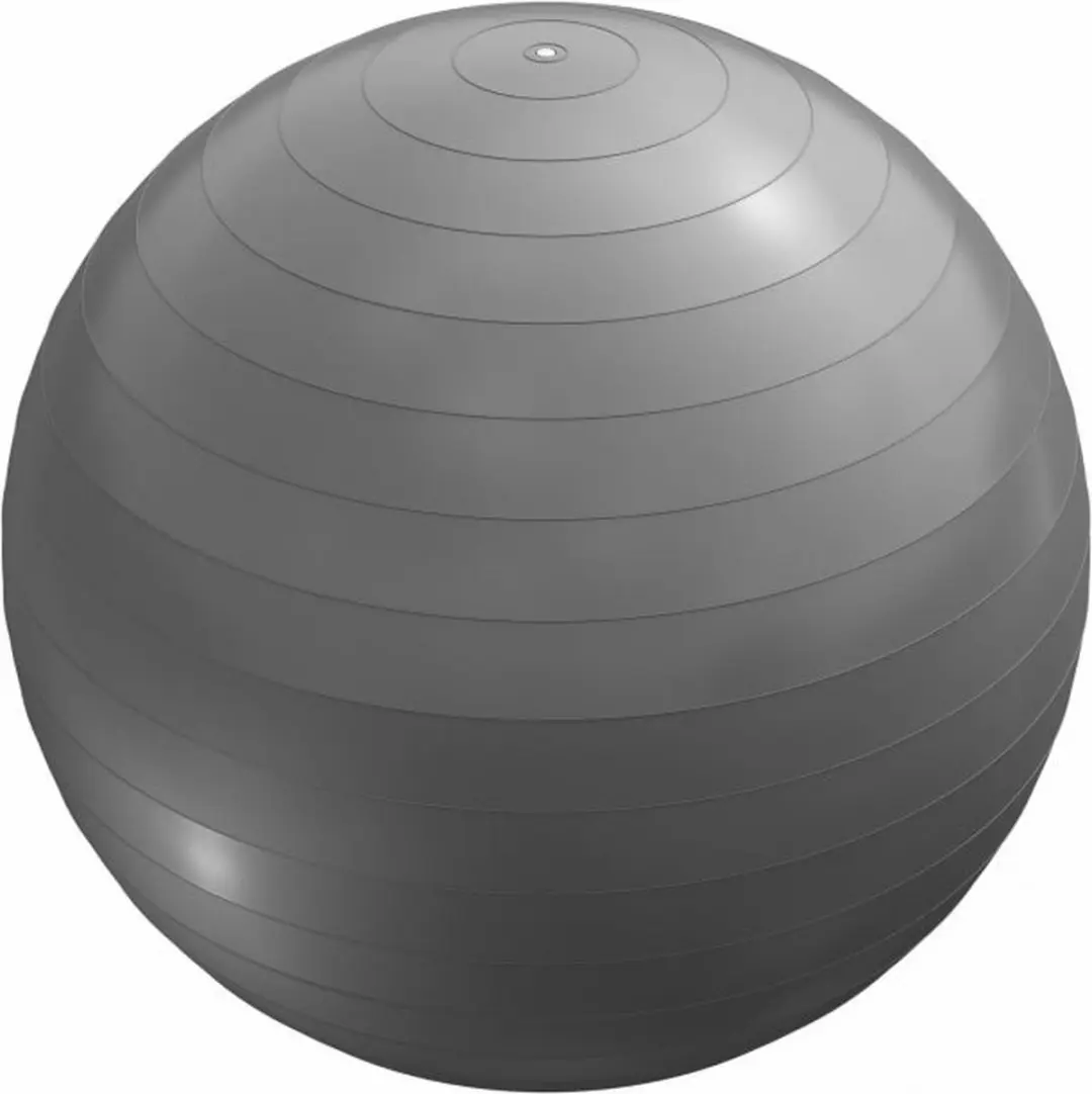 Gorilla Sports Fitnessbal 65cm