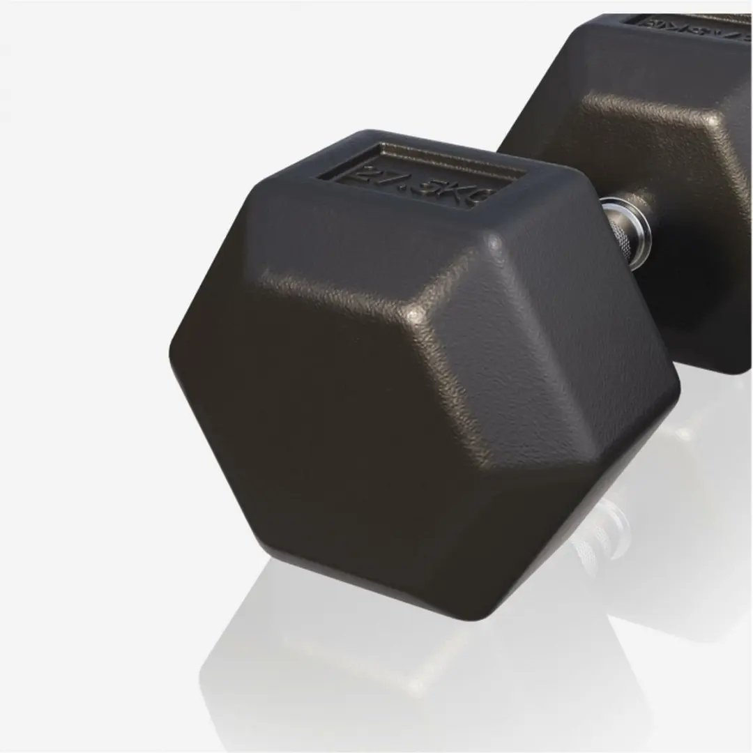 Gorilla Sports Dumbbel 27,5 kg - Gietijzer - Hexagon - Zwart