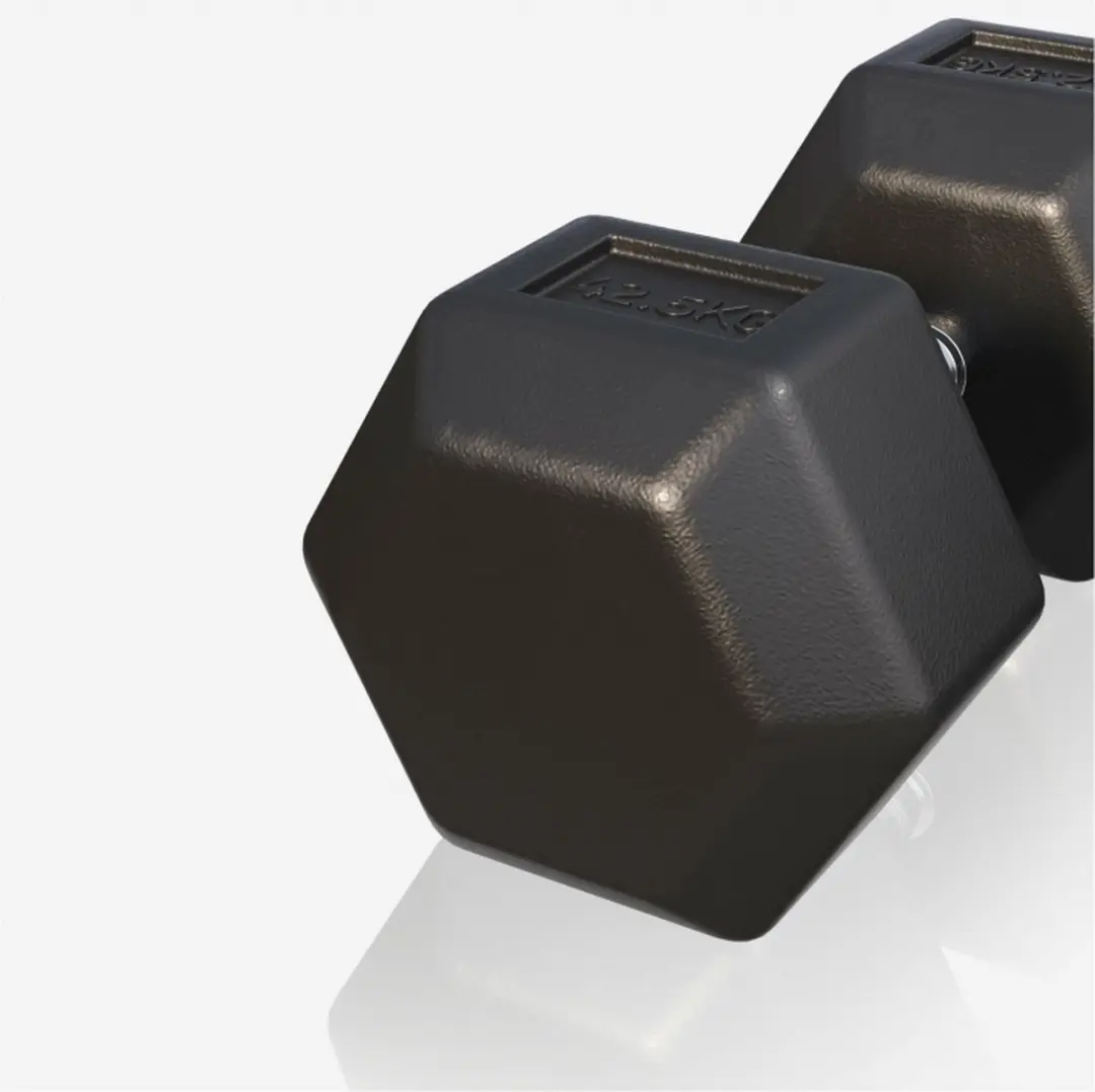 Gorilla Sports Dumbbell 42,5 kg - Gietijzer - Hexagon - Zwart