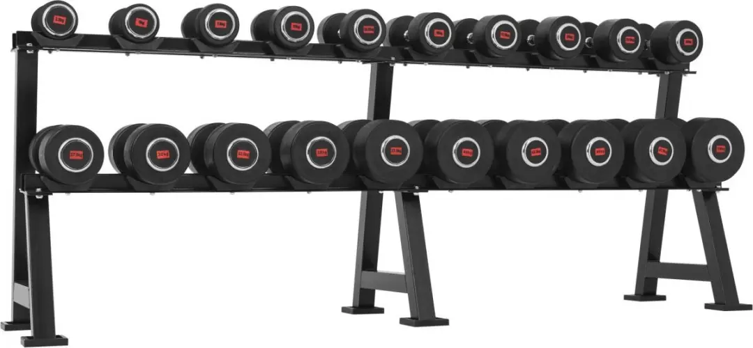 Gorilla Sports Dumbbell Rack - 20 Dumbbells - Zwart