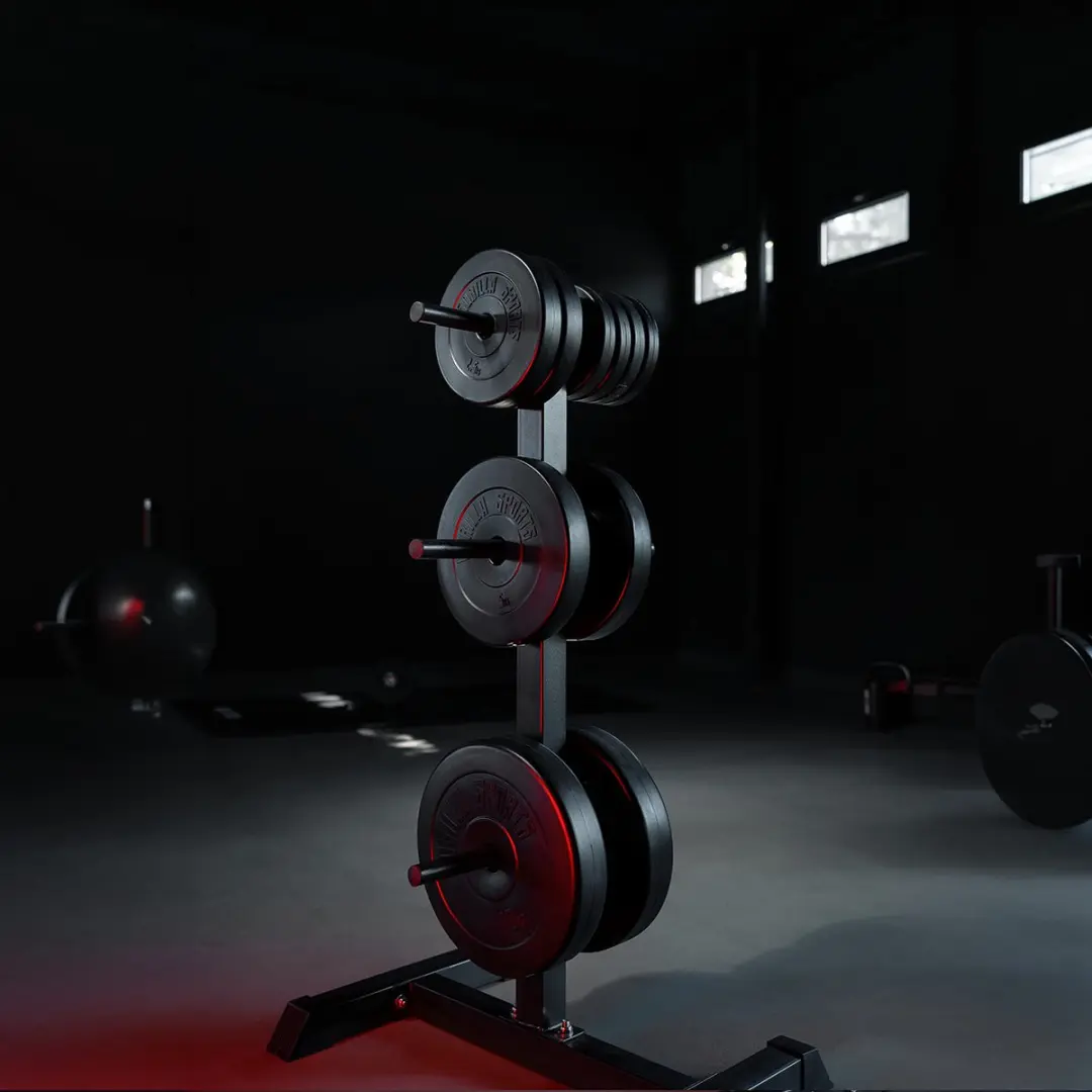 Gorilla Sports Schijvenstandaard 30/31mm - Halterrek - Zwart