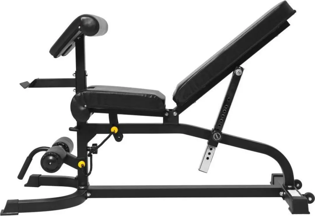 Gorilla Sports Fitnessbank Curlfuncties Kunstleder