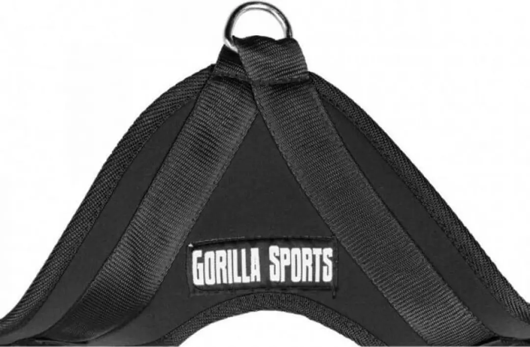 Gorilla Sports Ab Crunch Strap - Buikspiertrainer - One Size - Zwart