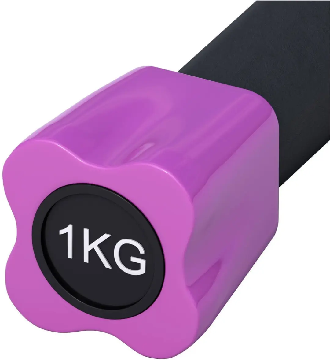 Gorilla Sports Aerobics Halterstang 1 kg - Paars/Zwart