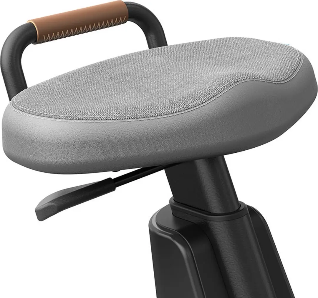 Lifespan Ampera Bureaufiets - Stroomopwekkend - Antraciet