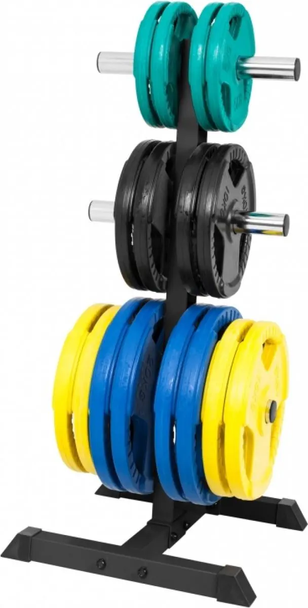 Gorilla Sports Halterrek 50/51mm - Schijvenstandaard - Zwart