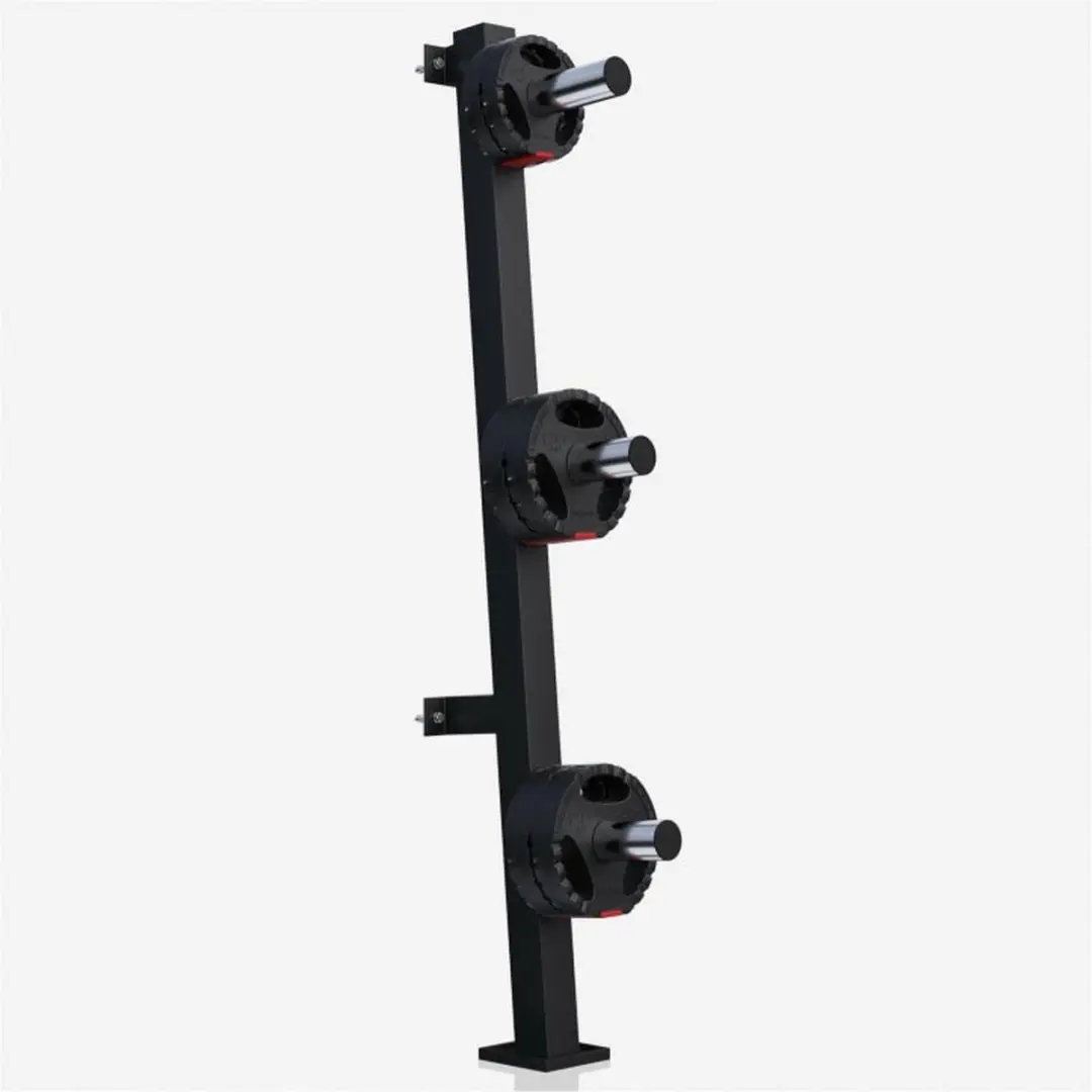 Gorilla Sports Halterschijven Standaard Wandmontage 50mm - Zwart