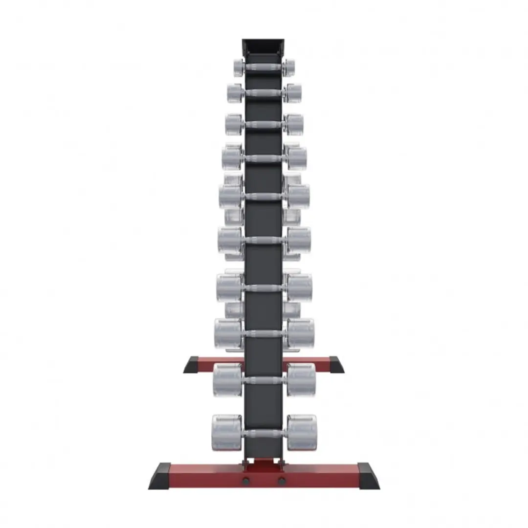 Gorilla Sports Dumbbellrek 110kg - Chrome Halters - 20 Gewichten