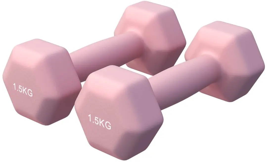 Gorilla Sports Vinyl Halterset 2x1.5kg