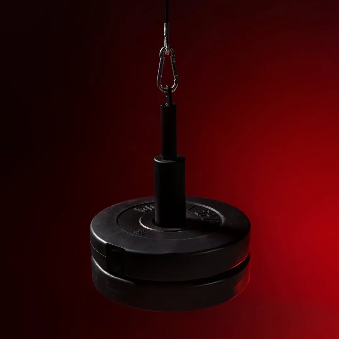 Gorilla Sports Lat Pulley Dakmontage - 150 kg - Zwart