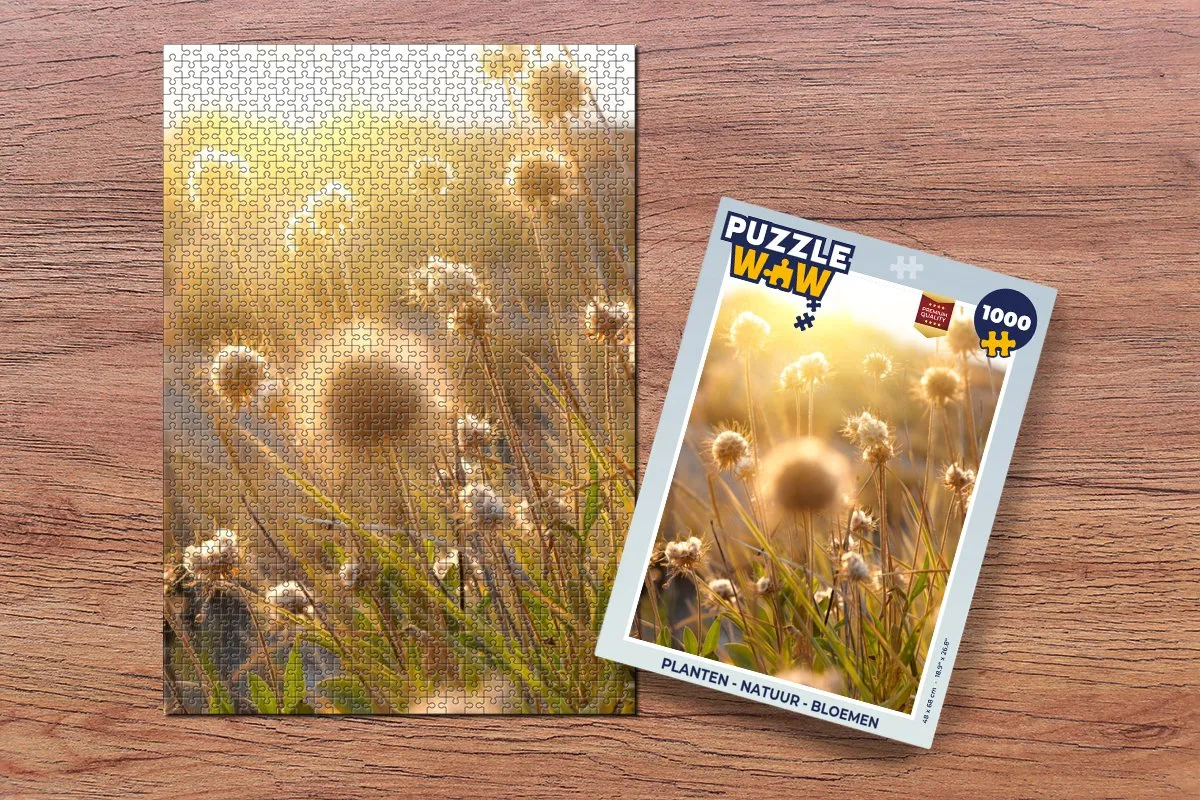 PuzzleWow Horizon Legpuzzel 1000 Stuks - Multicolor