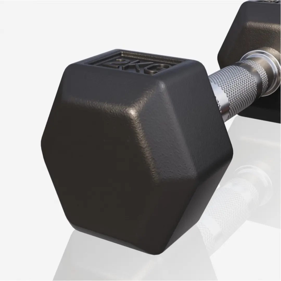 Gorilla Sports Dumbbell 2 kg - Gietijzer - Zwart