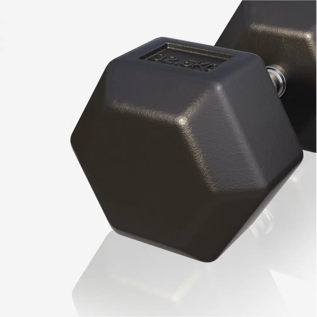 Gorilla Sports Dumbbell 32,5 kg - Gietijzer - Hexagon - Zwart