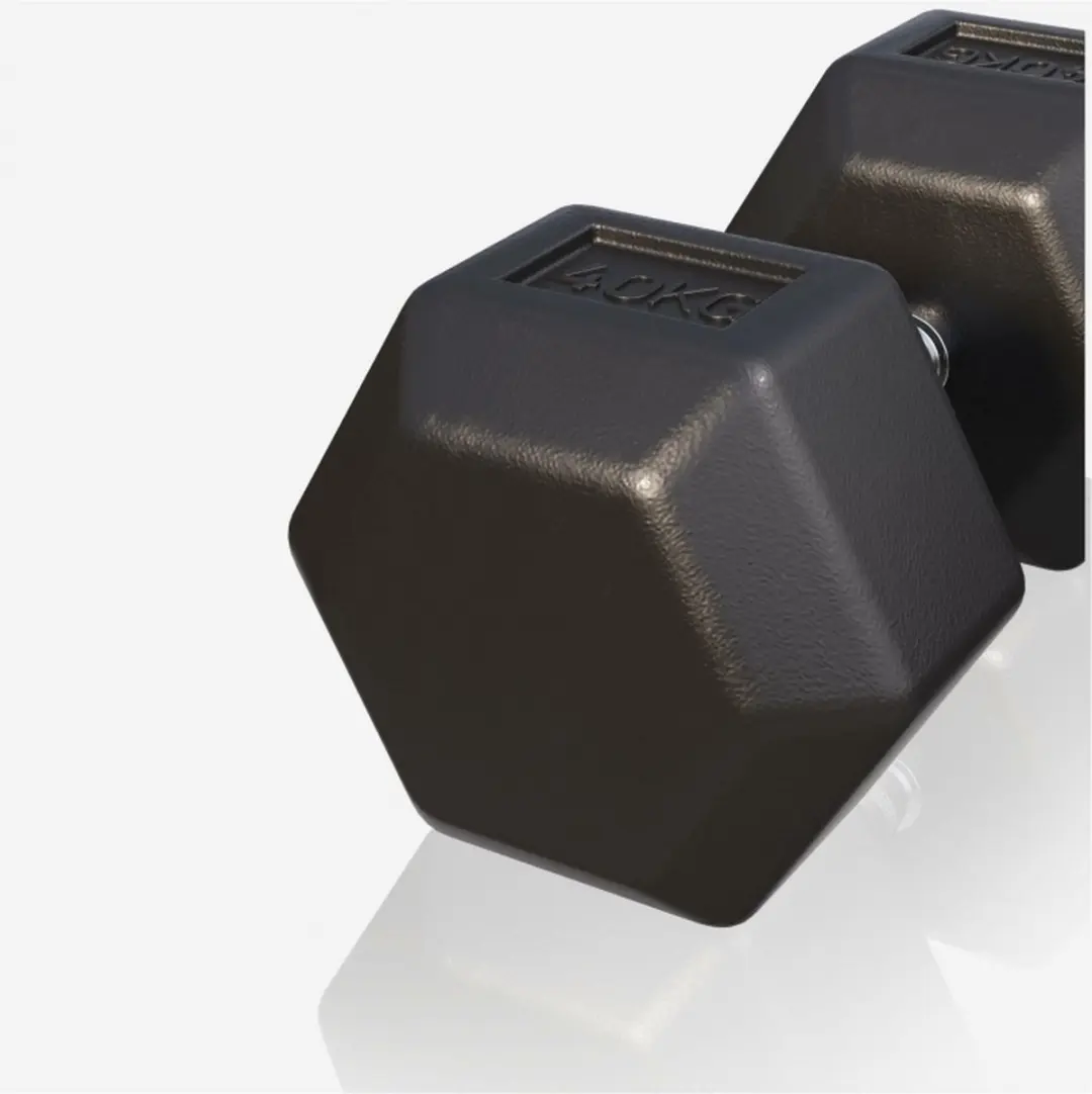 Gorilla Sports Dumbbell 40kg - Gietijzer - Hexagon - Zwart