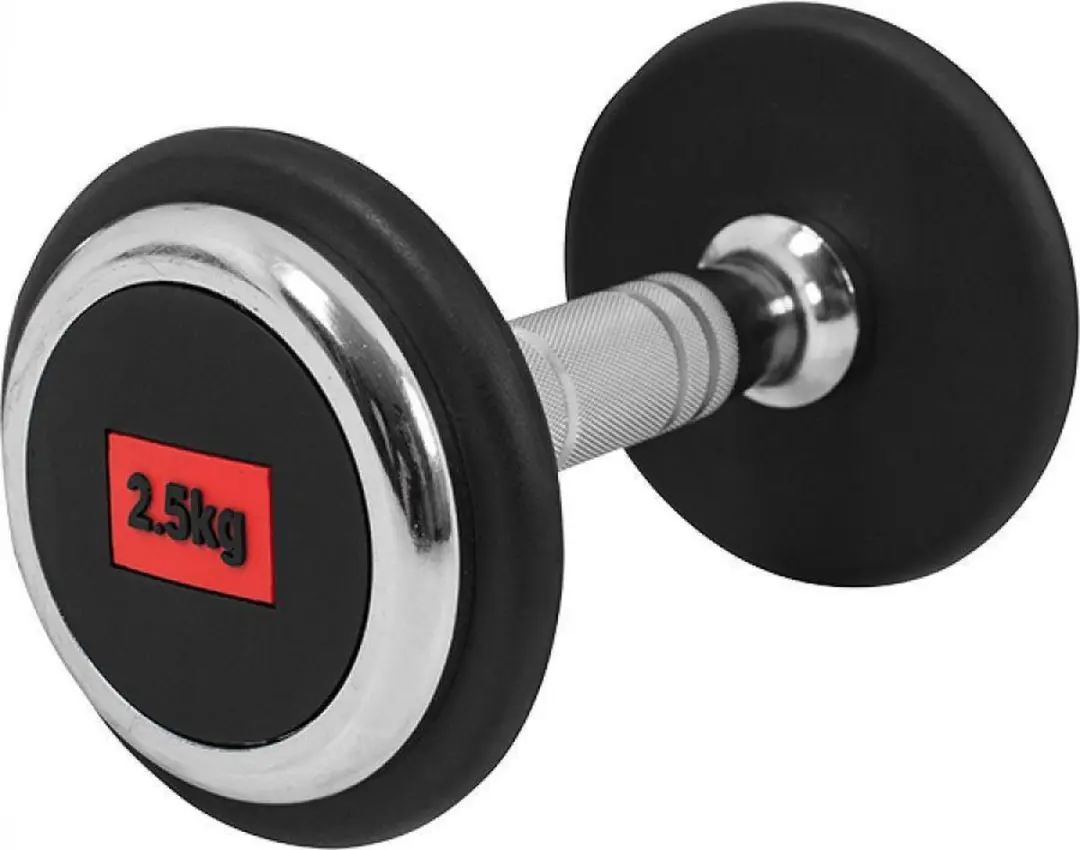 Gorilla Sports Halter 2,5 kg
