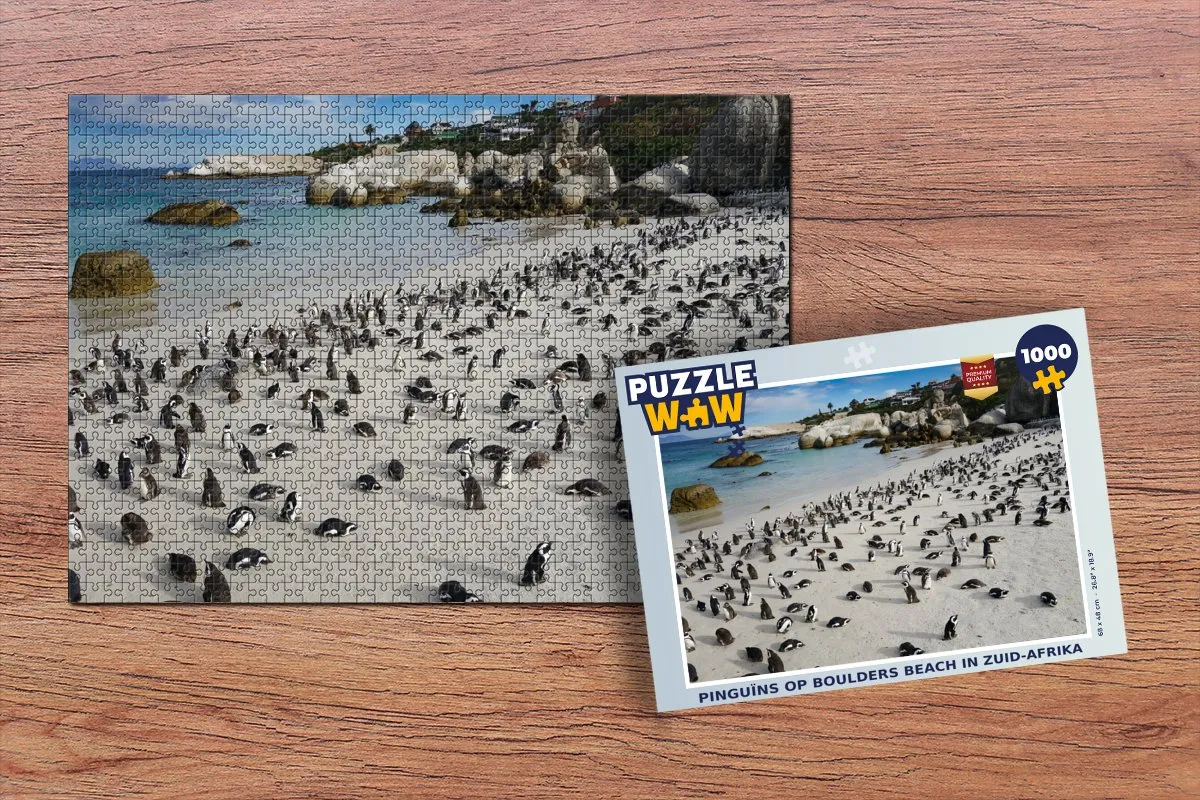PuzzleWow Puzzel Pinguïns op Boulders Beach 1000 Stuks - Multicolor